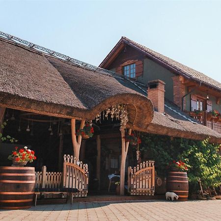 Hotel Gagauz Sofrasi Congaz Esterno foto